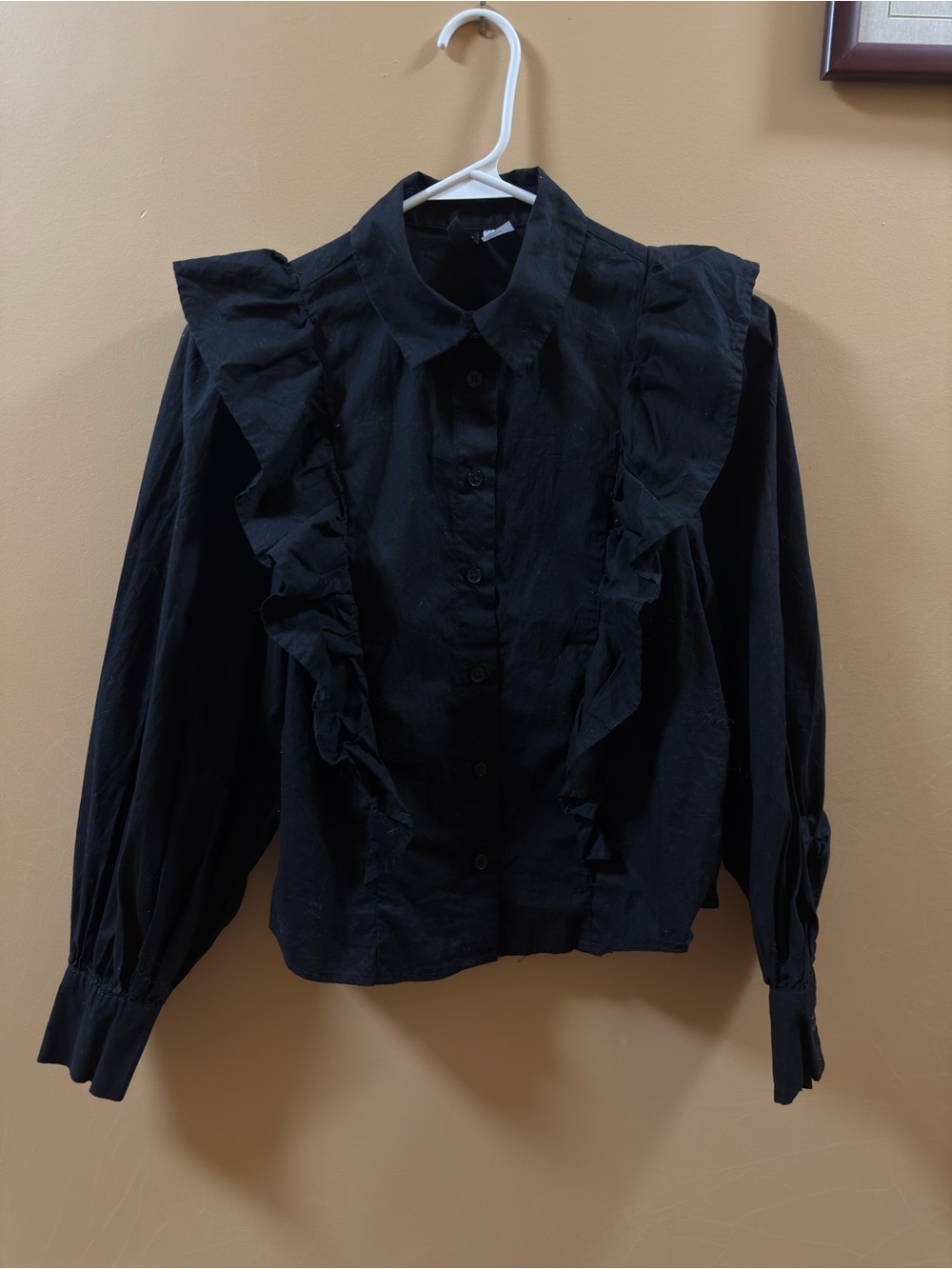 H&M Black Ruffle-Trim Button-Down Blouse
